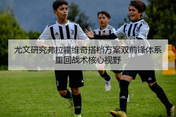 尤文研究弗拉霍维奇搭档方案双前锋体系重回战术核心视野